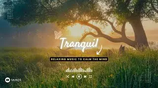 Tranquil Nature Meditation: Relaxing Music to Calm the Mind | MUИD3
