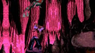 Donkey Kong Country 101% B - Compelling Amelioration