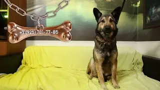 Букка