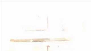 Bird feederwatch cam. Russia
