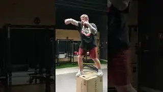 #shorts #mma #кудо #мма