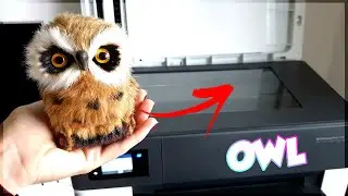 EXPERIMENT - What happens if you photocopy OWL