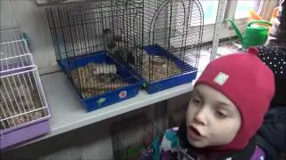 Юные натуралисты