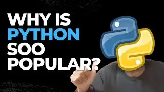 Python's Explosive Growth Decoded