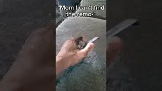 POV: You can't find the remote 