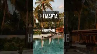 11 марта. Лунный календарь. Новолуние. #лунный #календарь #лунныйкалендарь