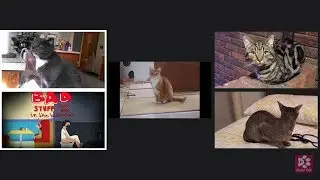 Cats Meowing 🍔 BOBS BURGERS 🍔 - Bad Stuff Happens in the Bathroom (short excrept) (A cappella)