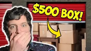 One Box in this Storage Unit made me $500!