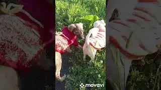 всем хорошего настроения и удачного дня 🥰🥰🥰🥰🥰😊😊😊😊😊😊😊