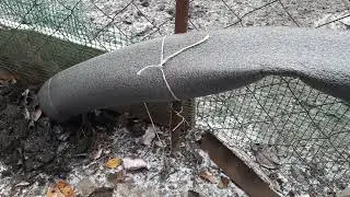 как укрывать виноград на зиму.
