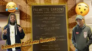 INSIDE PALMETTO GARDENS PROJECTS (BROOKLYN)