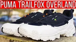 Реально подходят на зиму? Кроссовки Puma Trailfox Overland!