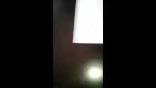 Я сделал полку для скрипышей!
