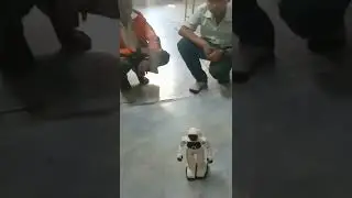 Mini Humanoid Robot