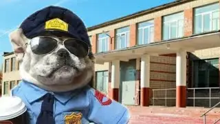 Наглые Работники Школы!