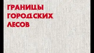 Городские леса