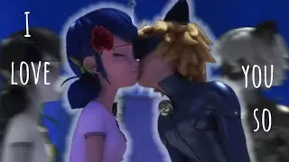 I love you so/id:my
