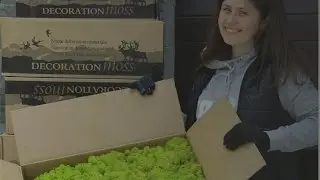 Отзыв о работе с зеленыерадости.рф