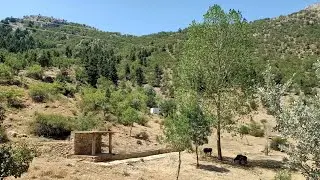 GEZLEVİ HİKAYELERİ VE YOLLARI