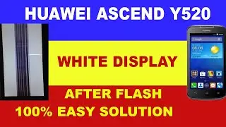 Huawei Ascend Y520 White Display Solution