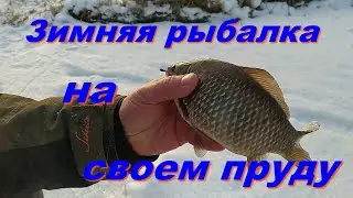 Зимняя рыбалка на своем пруду. Пруд в деревне своими руками часть 19...