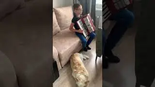 Юный аккордионист💪