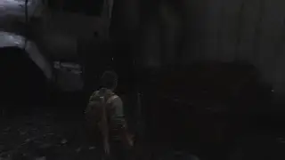 Last of us