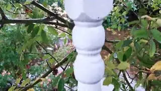 Miệt vườn Canada: từ mặt đường ra... mặt hồ