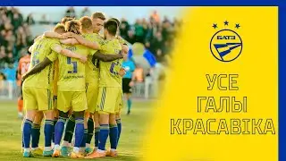 Галы красавіка