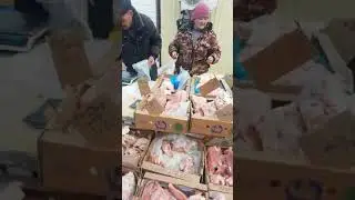 1 февраля 2024 г.
