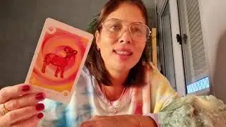 Escorpião🦋/Novembro 2021. O mundo é seu🎉! 