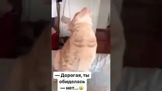 Ты что, обиделась 