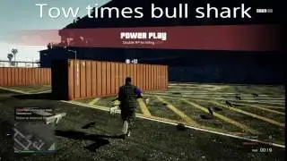 Tow times bull shark he fucking ass