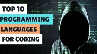 Top 10 Most Popular Programming Languages for Software Engineers | Which Should You Learn in 2024?