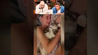 BEST Prank with a guy and a cat 👍🏻 🥹