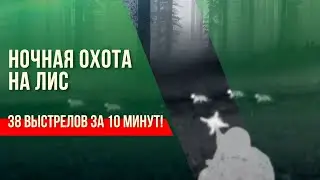 Ночная охота на лис и шакалов. 38 выстрелов за 10 минут! 38 jackals and foxes killed in 10 minutes!