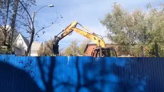 В Республике Лодыгина валят деревья
