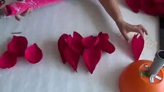 ОГРОМНЫЙ ПИОН