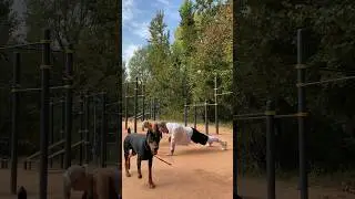 OUTDOOR TRAINING VOL.2 круговая тренировка на улице