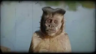 Mono & Nikitaman - Weil wenn du bei mir bist (offizielles Musikvideo)