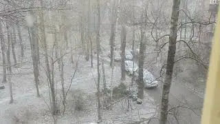 Продолжение снежного рая)
