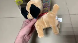 Умная собака