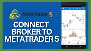 How to Connect Broker to MetaTrader 5 2024?