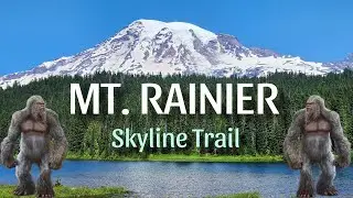 Skyline Trail | Mt. Rainier's Best Hike?