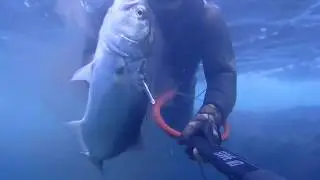 A DICEMBRE PUOI TRE PESCI 11 KG