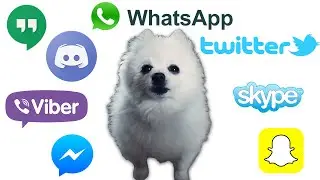 Gabe the dog, but social media ringtones
