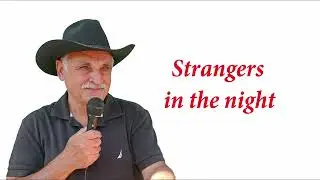 Strangers in the night   Vladimir Loberant