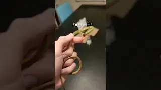 Stealing snakes from the wild is a bad idea. 