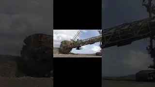 Clip that shock the whole world #shorts