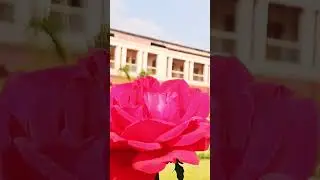 IIT Dhanbad  ||  ISM Dhanbad 